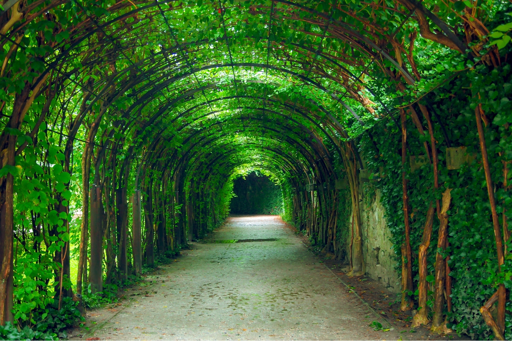UKRAINE Tunel de l’amour