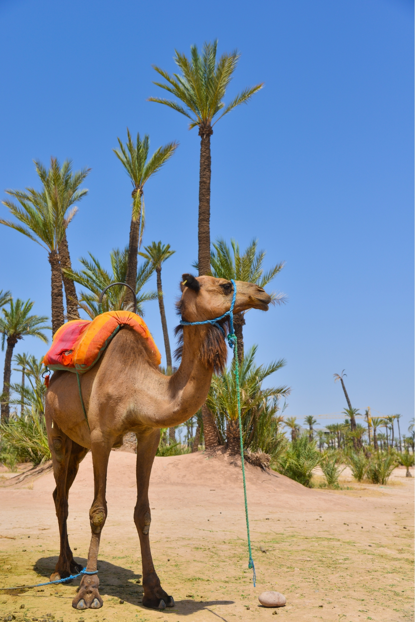 Maroc